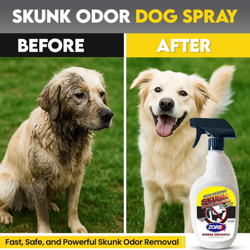 ZORBX Unscented Skunk Odor Remover Spray 24 FL Oz â€“ Fast Acting Skunk Smell Removal - Extra Strength Pet Skunk Odor Remover for Dogs, House, Car, Clothes & Furniture - Image 3